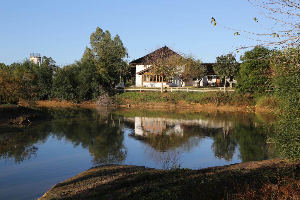 Ardea Purpurea Hotel Villamanrique De La Condesa Exterior photo