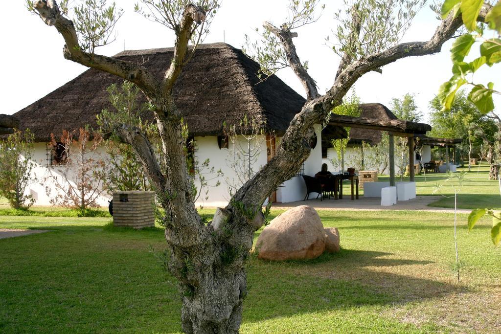 Ardea Purpurea Hotel Villamanrique De La Condesa Exterior photo